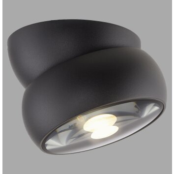 Paul Neuhaus lights Move ceiling light LED black, 1-light source