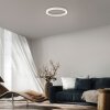 Paul Neuhaus lights Round ceiling light LED white, 1-light source, Remote control