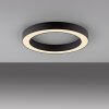 Paul Neuhaus lights Round ceiling light LED grey, 1-light source, Remote control
