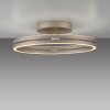 Paul Neuhaus lights Loop ceiling light LED bronze, 2-light sources, Remote control