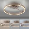 Paul Neuhaus lights Loop ceiling light LED bronze, 2-light sources, Remote control
