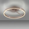 Paul Neuhaus lights Loop ceiling light LED bronze, 2-light sources, Remote control