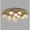 Paul Neuhaus lights Popup ceiling light LED bronze, 11-light sources, Remote control