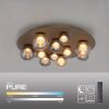 Paul Neuhaus lights Popup ceiling light LED bronze, 11-light sources, Remote control