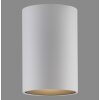 Paul Neuhaus lights Point ceiling light LED white, 1-light source