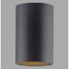 Paul Neuhaus lights Point ceiling light LED black, 1-light source