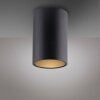 Paul Neuhaus lights Point ceiling light LED black, 1-light source