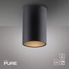 Paul Neuhaus lights Point ceiling light LED black, 1-light source