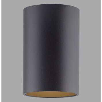 Paul Neuhaus lights Point ceiling light LED black, 1-light source