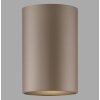 Paul Neuhaus lights Point ceiling light LED bronze, 1-light source