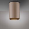 Paul Neuhaus lights Point ceiling light LED bronze, 1-light source