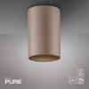 Paul Neuhaus lights Point ceiling light LED bronze, 1-light source