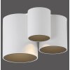 Paul Neuhaus lights Point ceiling light LED white, 1-light source