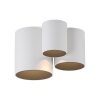 Paul Neuhaus lights Point ceiling light LED white, 1-light source