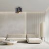 Paul Neuhaus lights Point ceiling light LED black, 1-light source