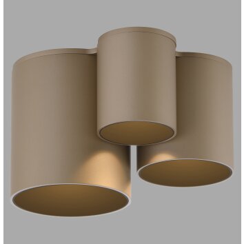Paul Neuhaus lights Point ceiling light LED bronze, 1-light source