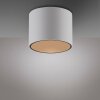 Paul Neuhaus lights Point ceiling light LED white, 1-light source