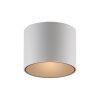 Paul Neuhaus lights Point ceiling light LED white, 1-light source