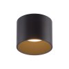 Paul Neuhaus lights Point ceiling light LED black, 1-light source