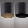 Paul Neuhaus lights Point ceiling light LED black, 1-light source