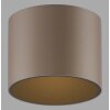 Paul Neuhaus lights Point ceiling light LED bronze, 1-light source