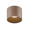 Paul Neuhaus lights Point ceiling light LED bronze, 1-light source