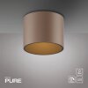 Paul Neuhaus lights Point ceiling light LED bronze, 1-light source