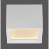 Paul Neuhaus lights Manhattan ceiling light LED white, 1-light source, Remote control