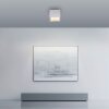 Paul Neuhaus lights Manhattan ceiling light LED stone appearance, 1-light source, Remote control