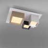 Paul Neuhaus lights Manhattan ceiling light LED grey, 1-light source, Remote control