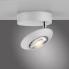 Paul Neuhaus lights Oculis ceiling light LED white, 1-light source
