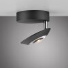Paul Neuhaus lights Oculis ceiling light LED black, 1-light source