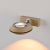 Paul Neuhaus lights Oculis wall light LED bronze, 2-light sources