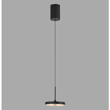 Leuchten Direkt lights PLATA pendant light LED black, 1-light source