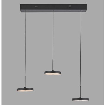 Leuchten Direkt lights PLATA pendant light LED black, 3-light sources
