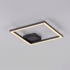 Leuchten Direkt lights IVEN ceiling light LED black, 1-light source