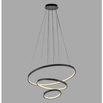 Leuchten Direkt lights CERCHI pendant light LED black, 1-light source