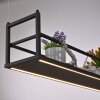 Leuchten Direkt lights SONTURA pendant light LED black, 2-light sources