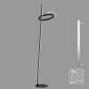 Leuchten Direkt lights RITUS floor lamp LED black, 2-light sources