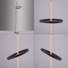 Leuchten Direkt lights RITUS floor lamp LED black, 2-light sources