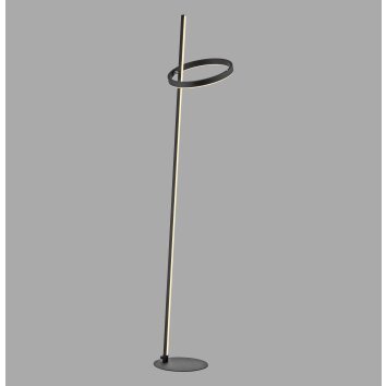 Leuchten Direkt lights RITUS floor lamp LED black, 2-light sources