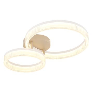 Globo lighting Zara ceiling light LED sand-coloured, white, 1-light source