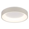 Globo lighting Gallegos ceiling light LED sand-coloured, 1-light source, Remote control