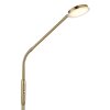 Globo lighting Silvio floor lamp LED brass, 1-light source