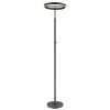 Globo lighting Emanuel ceiling light LED anthracite, black, 1-light source