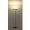 Globo lighting Barker floor lamp LED anthracite, 1-light source