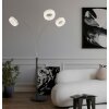 Globo lighting Laurel floor lamp LED black, 1-light source