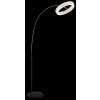 Globo lighting Laurel floor lamp LED black, 1-light source