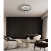 Globo lighting Mirrora ceiling light LED chrome, black, silver, 1-light source
