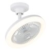 Globo lighting Lidea Ceiling fan light LED white, 1-light source, Remote control